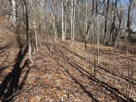 0 Gleneden Lane Cullowhee NC 28723