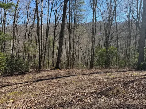 0 Gleneden Lane Cullowhee NC 28723