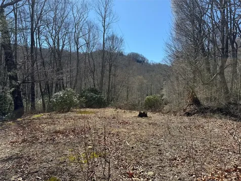 0 Gleneden Lane Cullowhee NC 28723