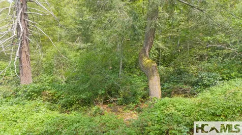 0 Sherwood Forest Road Highlands NC 28741