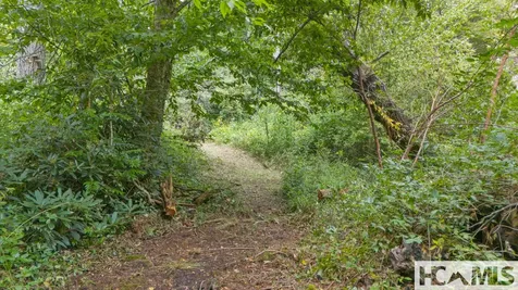 0 Sherwood Forest Road Highlands NC 28741