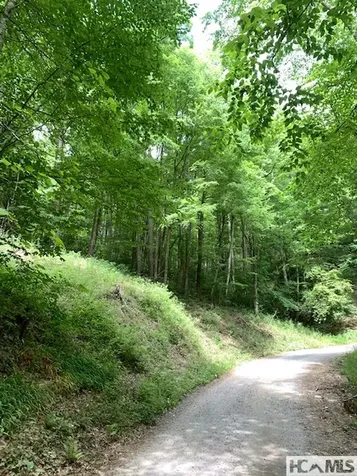 0 Little Ellijay Road Franklin NC 28734