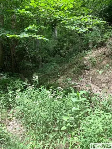 0 Little Ellijay Road Franklin NC 28734
