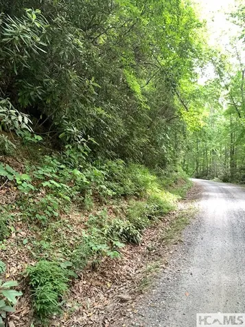 0 Little Ellijay Road Franklin NC 28734