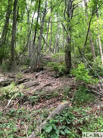 0 Little Ellijay Road Franklin NC 28734