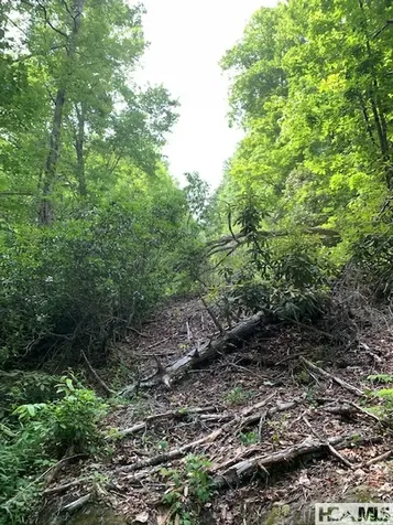 0 Little Ellijay Road Franklin NC 28734