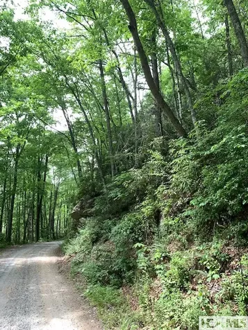 0 Little Ellijay Road Franklin NC 28734