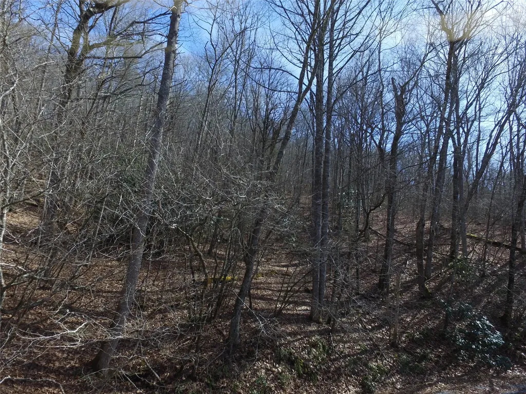 00 Great Falls Drive Glenville NC 28736
