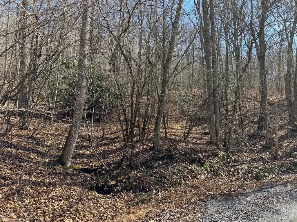 00 Great Falls Drive Glenville NC 28736