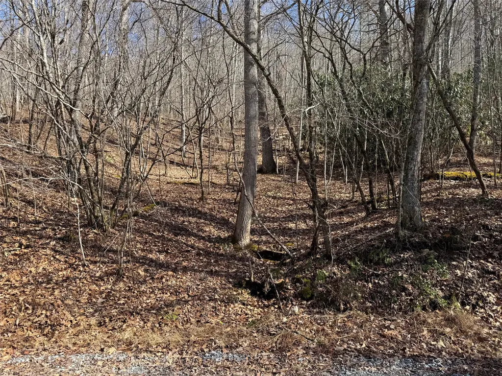 00 Great Falls Drive Glenville NC 28736