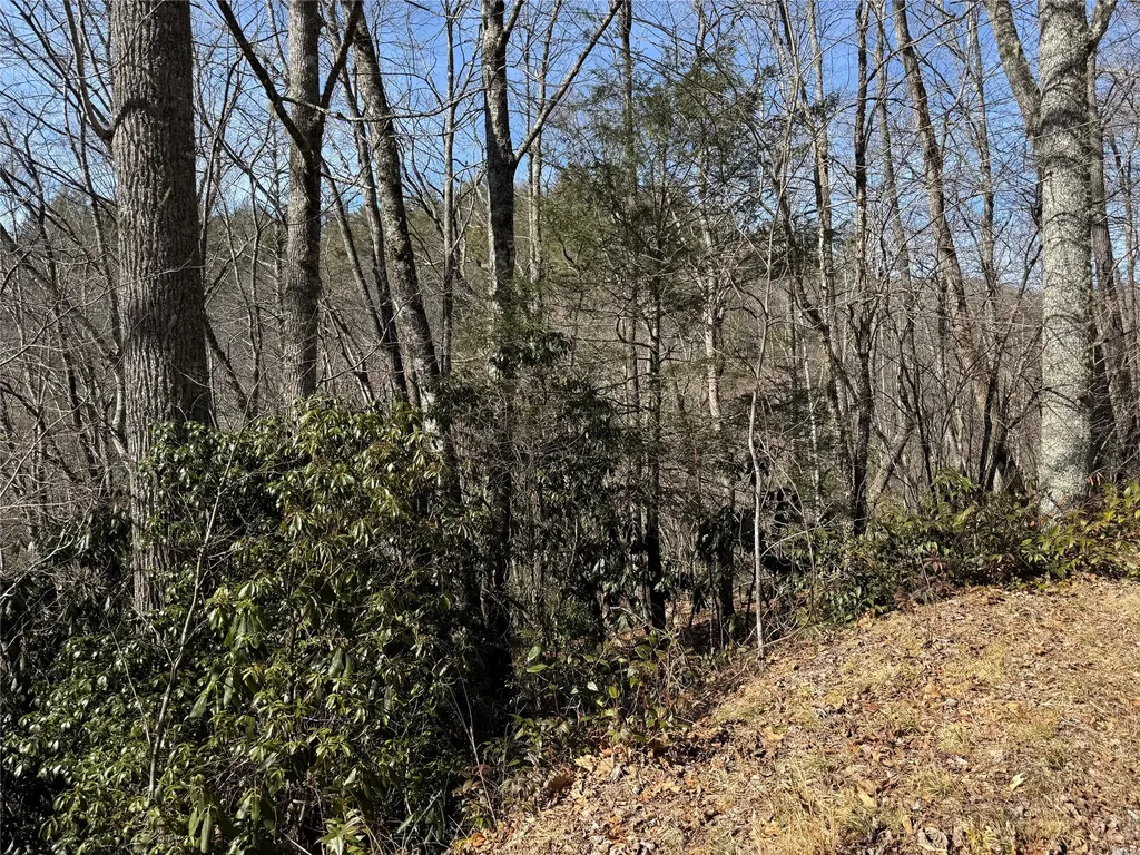 00 Great Falls Drive Glenville NC 28736