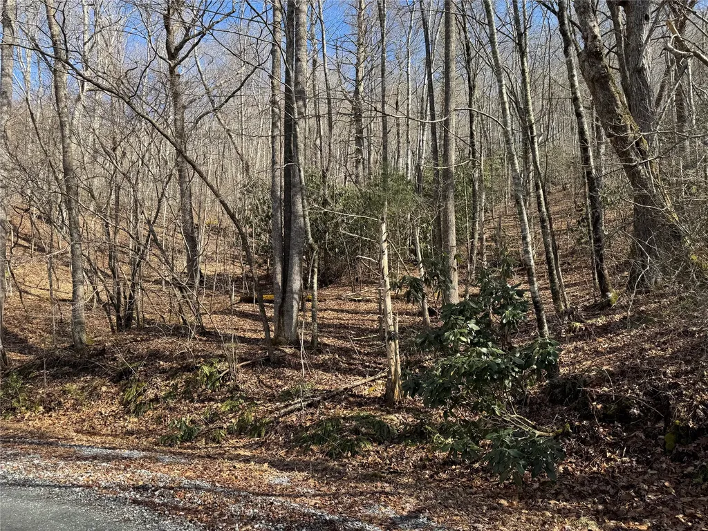 00 Great Falls Drive Glenville NC 28736