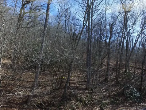 00 Great Falls Drive Glenville NC 28736