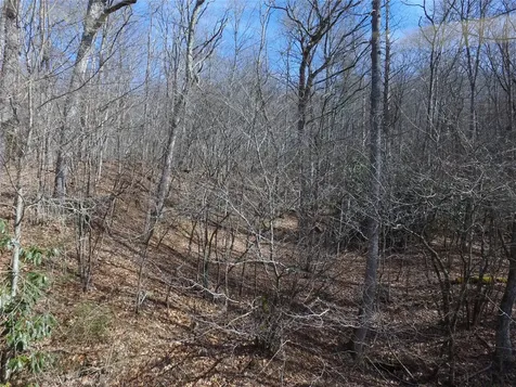 00 Great Falls Drive Glenville NC 28736