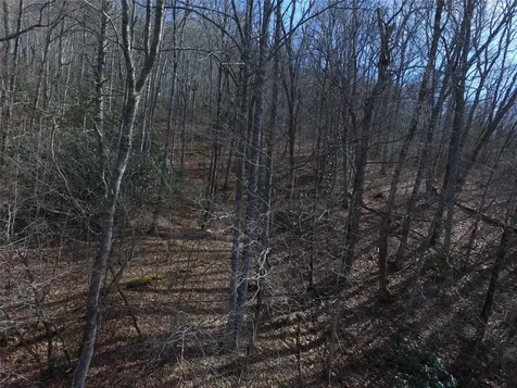 00 Great Falls Drive Glenville NC 28736