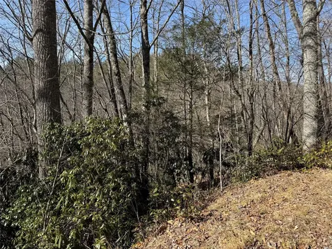 00 Great Falls Drive Glenville NC 28736