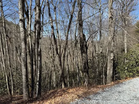00 Great Falls Drive Glenville NC 28736