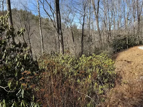 00 Great Falls Drive Glenville NC 28736