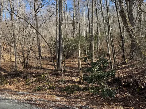 00 Great Falls Drive Glenville NC 28736