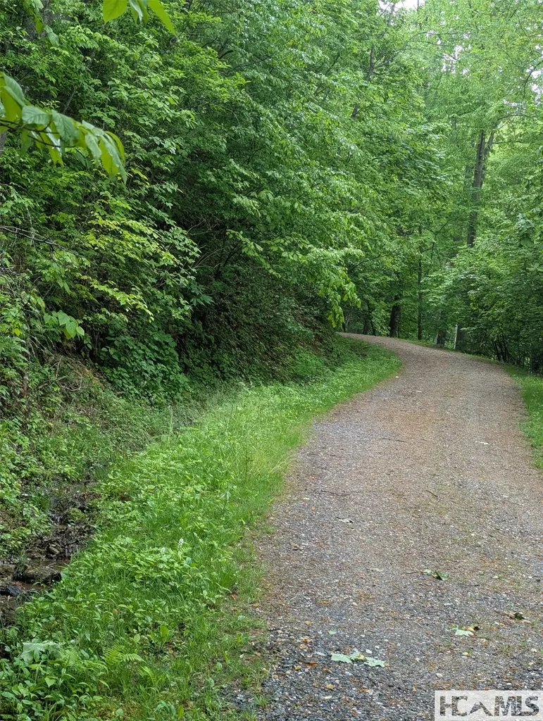 53-54 Parachute Ridge Glenville NC 28736