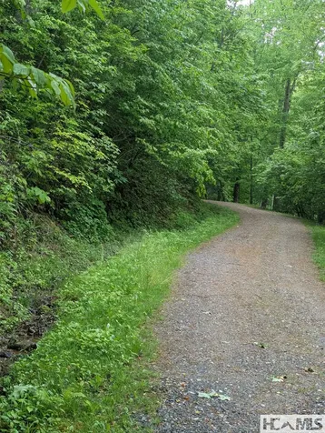 53-54 Parachute Ridge Glenville NC 28736