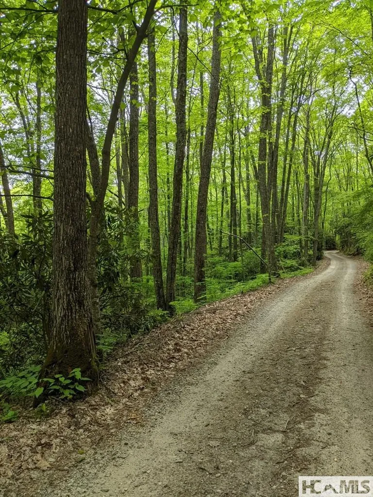 0 Buck Knob Road Cullowhee NC 28723