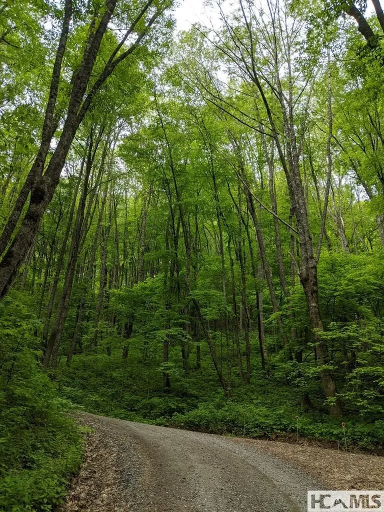 0 Buck Knob Road Cullowhee NC 28723