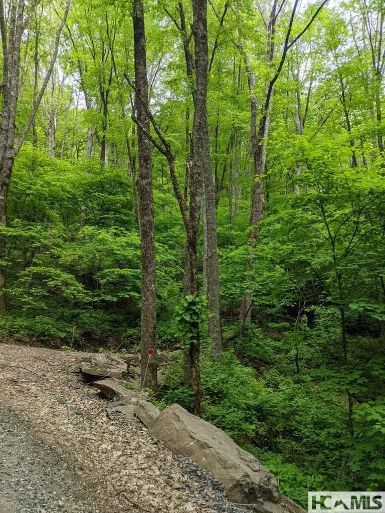 0 Buck Knob Road Cullowhee NC 28723