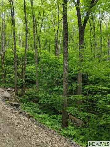 0 Buck Knob Road Cullowhee NC 28723