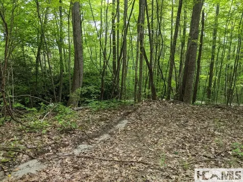 0 Buck Knob Road Cullowhee NC 28723