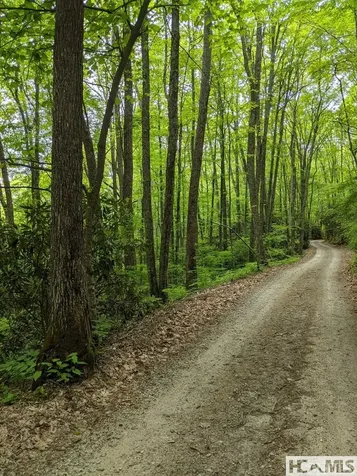 0 Buck Knob Road Cullowhee NC 28723