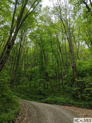 0 Buck Knob Road Cullowhee NC 28723