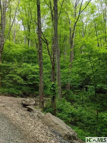 0 Buck Knob Road Cullowhee NC 28723