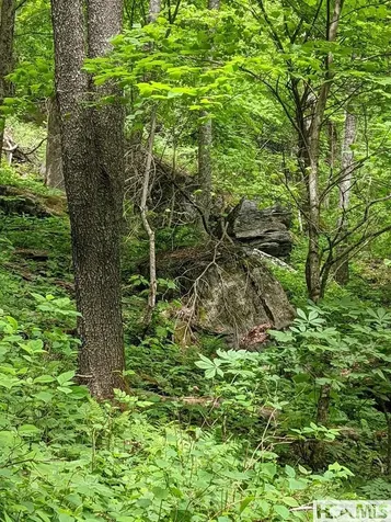 0 Buck Knob Road Cullowhee NC 28723
