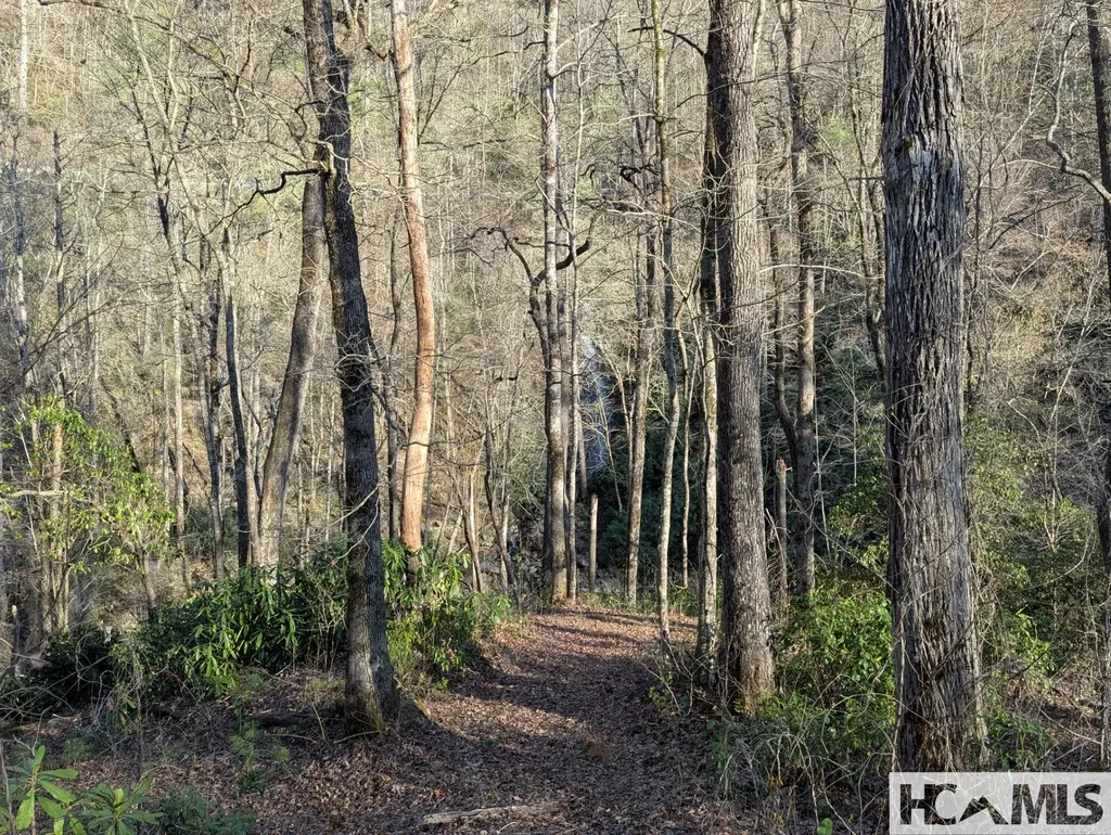 Tbd W Fork Bend Cullowhee NC 28723