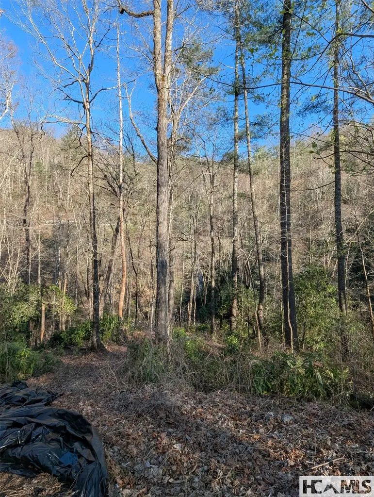 Tbd W Fork Bend Cullowhee NC 28723