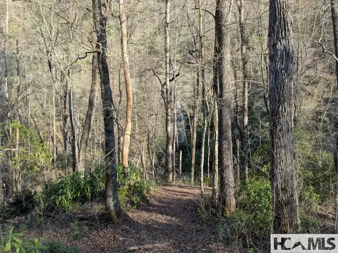 Tbd W Fork Bend Cullowhee NC 28723