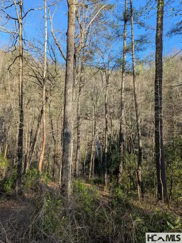 Tbd W Fork Bend Cullowhee NC 28723