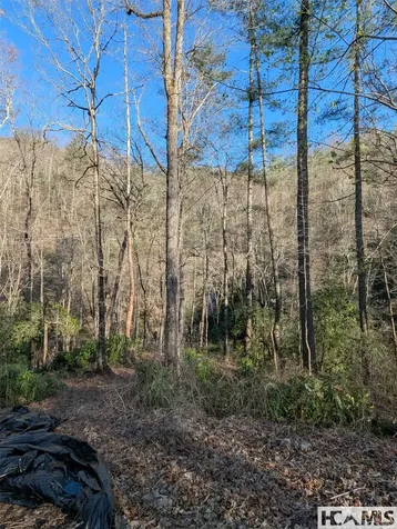 Tbd W Fork Bend Cullowhee NC 28723