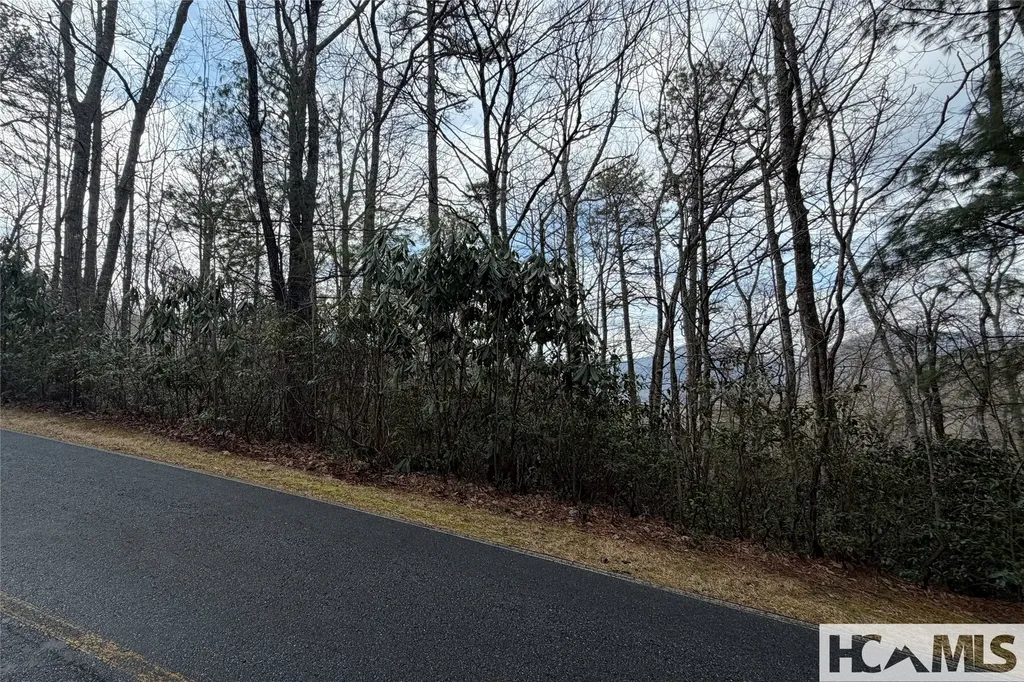 Lot 40 Buckberry Drive N Sapphire NC 28774