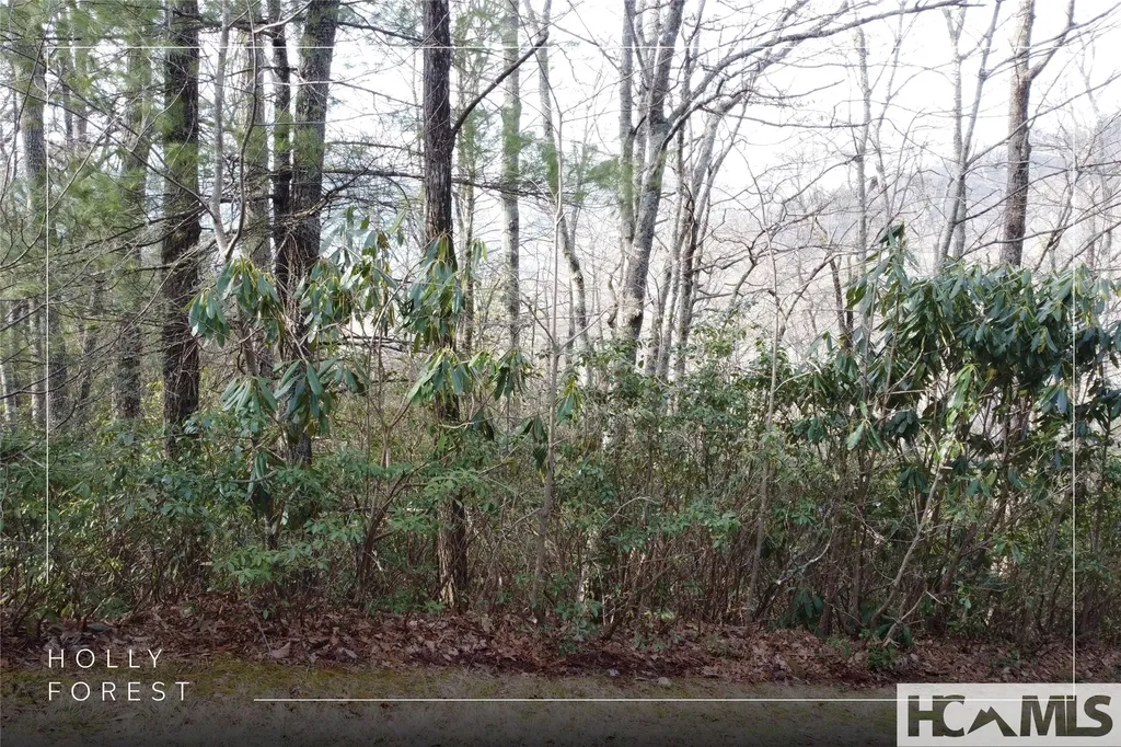 Lot 40 Buckberry Drive N Sapphire NC 28774