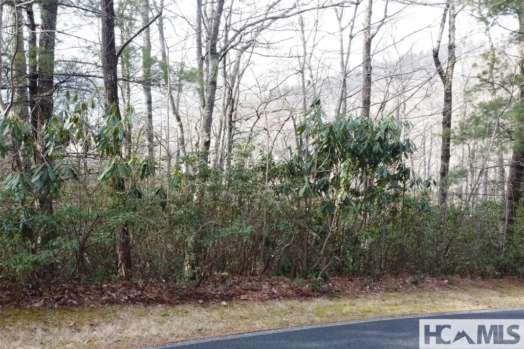 Lot 40 Buckberry Drive N Sapphire NC 28774