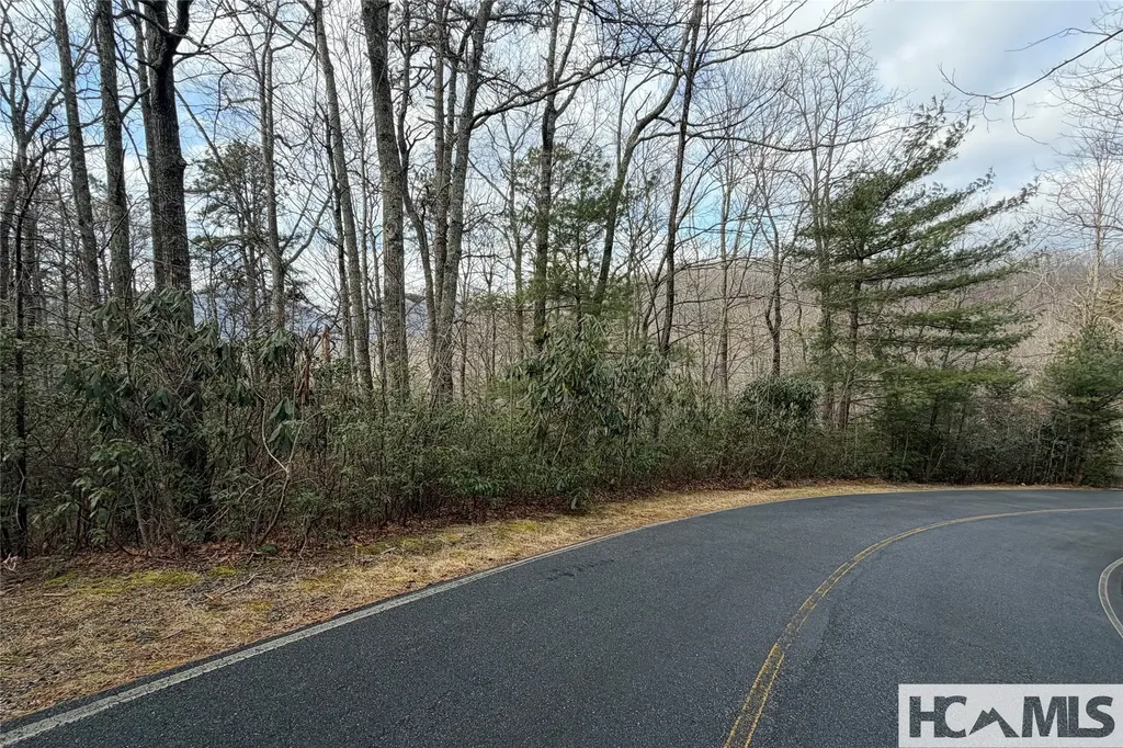 Lot 40 Buckberry Drive N Sapphire NC 28774