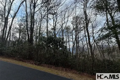 Lot 40 Buckberry Drive N Sapphire NC 28774