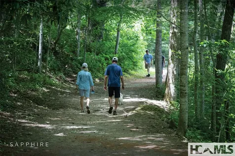 Lot 40 Buckberry Drive N Sapphire NC 28774