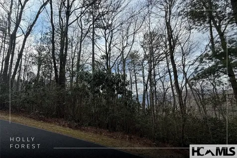 Lot 40 Buckberry Drive N Sapphire NC 28774