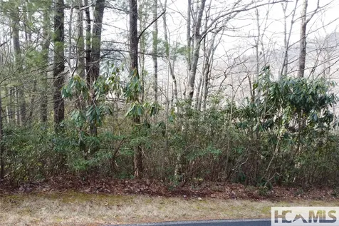 Lot 40 Buckberry Drive N Sapphire NC 28774