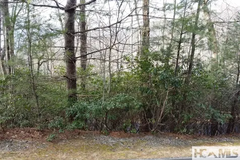Lot 40 Buckberry Drive N Sapphire NC 28774