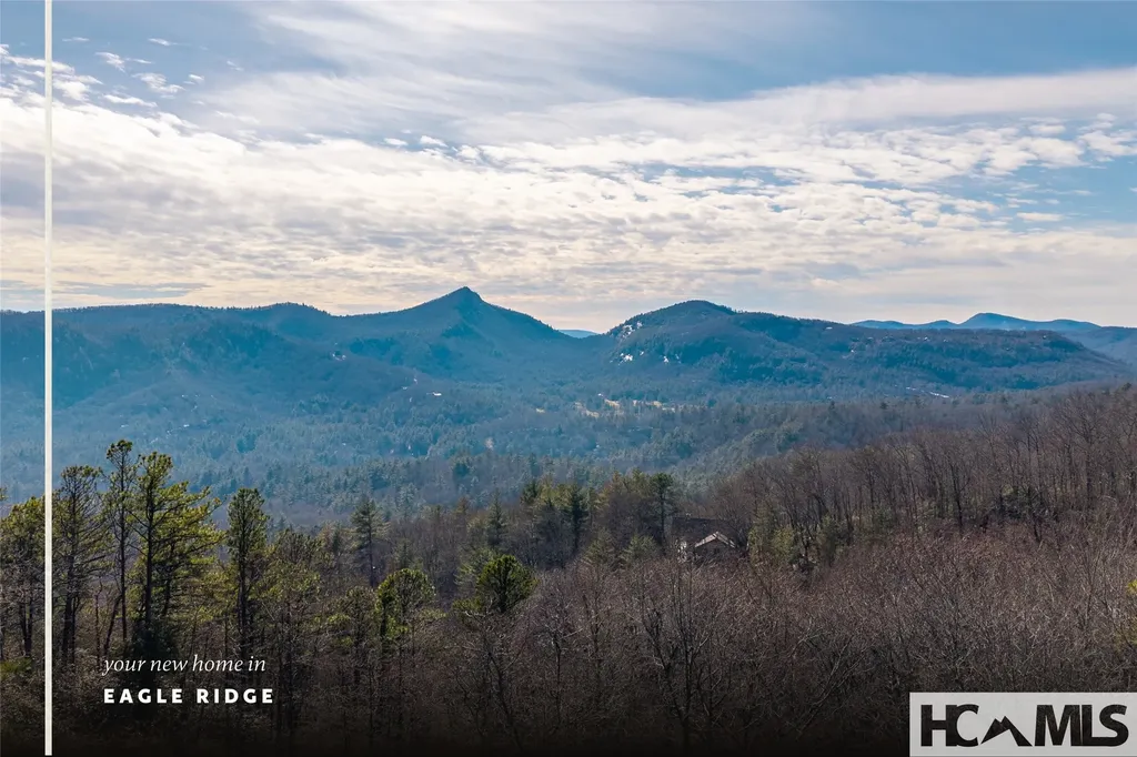 142 Eagle Ridge Road Sapphire NC 28774