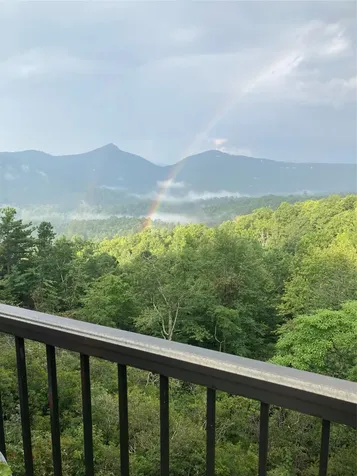 142 Eagle Ridge Road Sapphire NC 28774